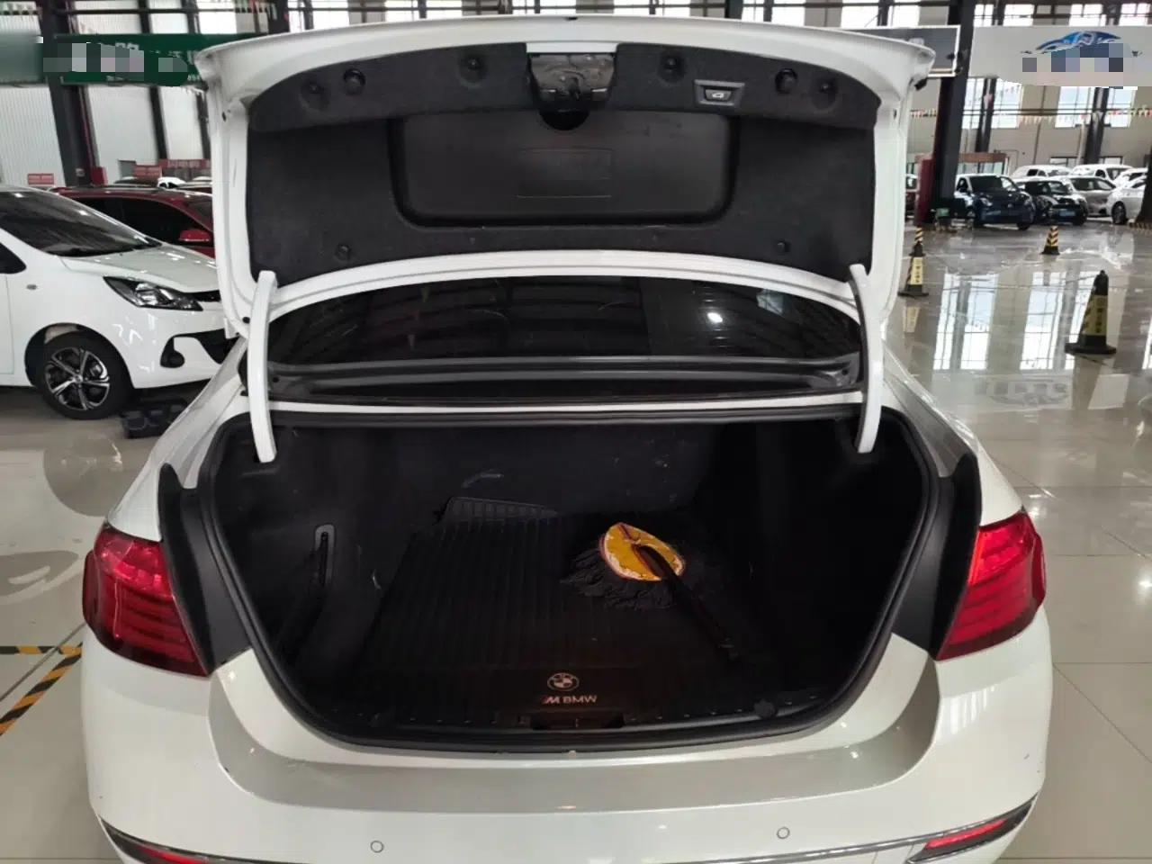 BMW 5 Series 2014 525Li Luxury Design Package — миниатюра 22