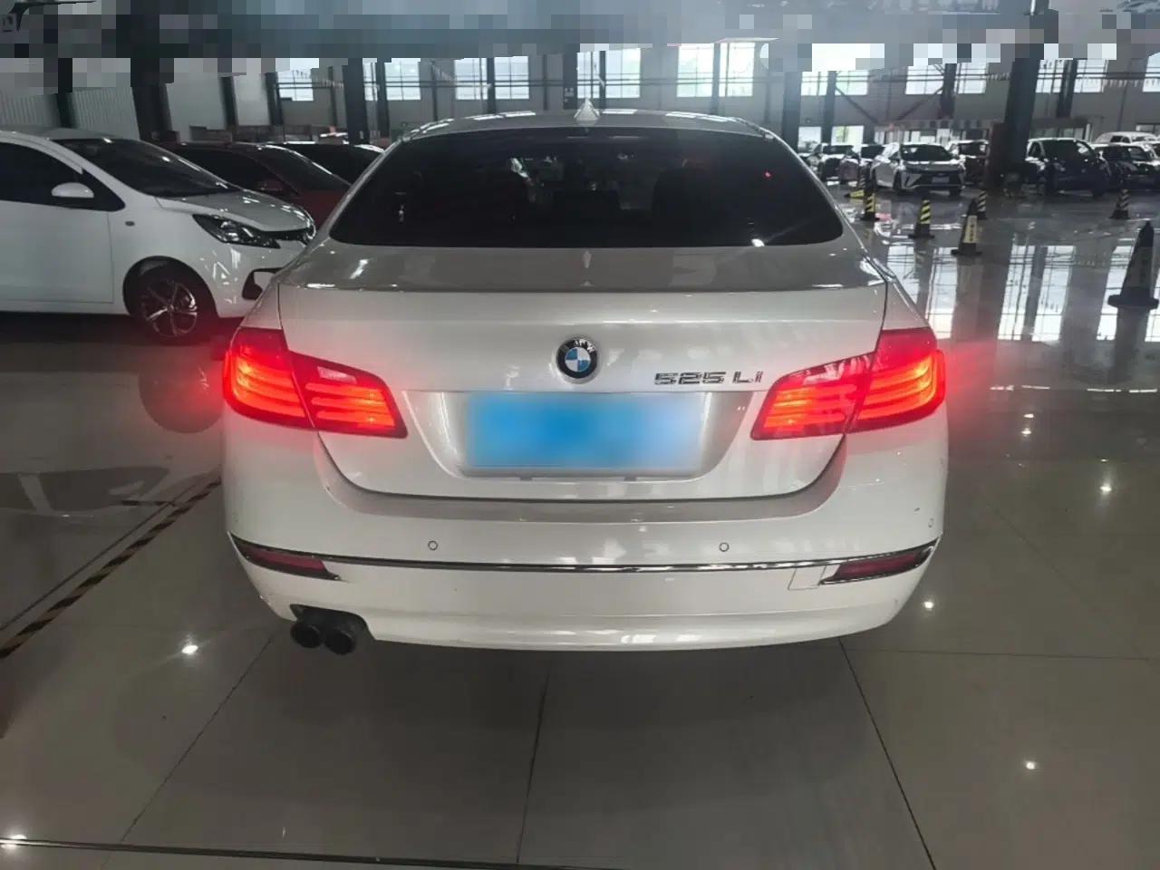 BMW 5 Series 2014 525Li Luxury Design Package — миниатюра 5
