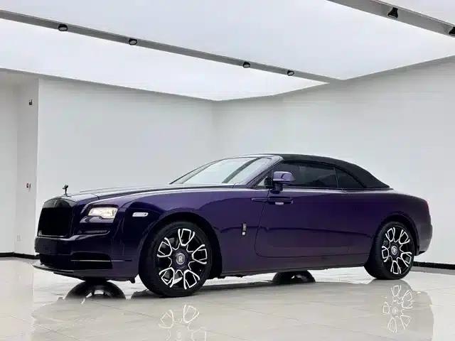2015 Dawn 6.6T Standard Edition