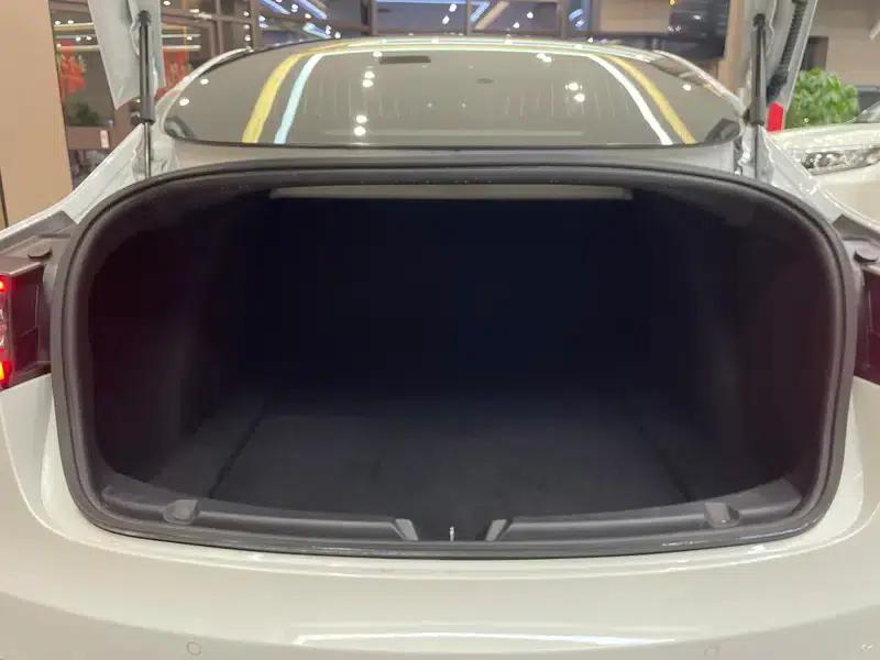 Model 3 2019 Standard Range Rear-Wheel Drive Upgrade — миниатюра 25