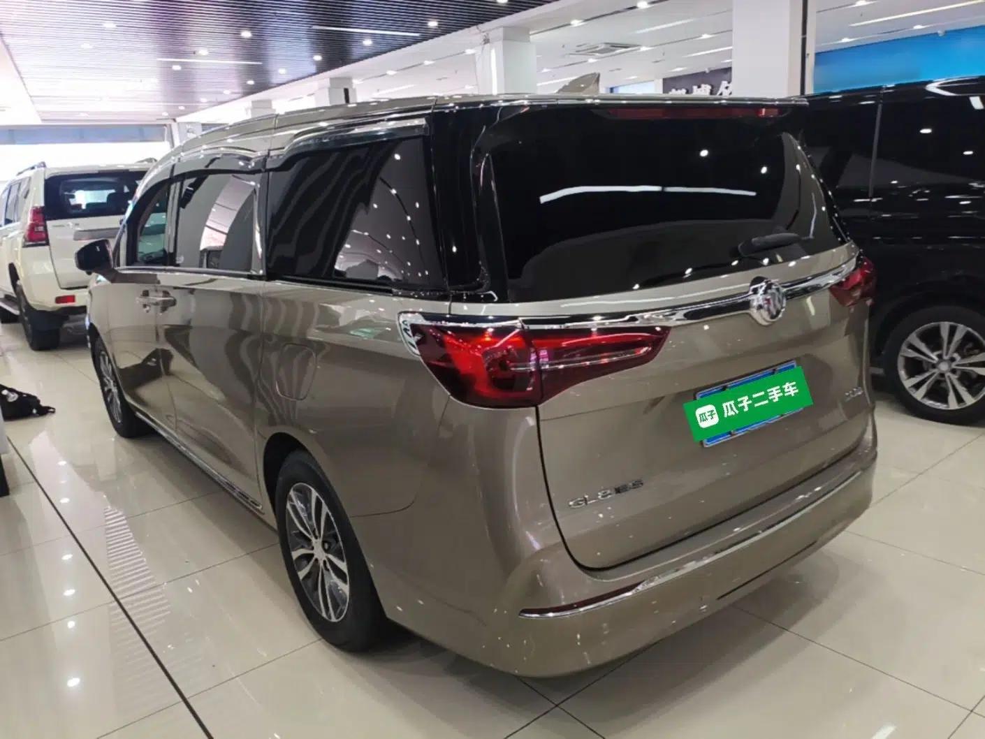 Buick GL8 2023 ES Lu Zun Comfort Model — миниатюра 4