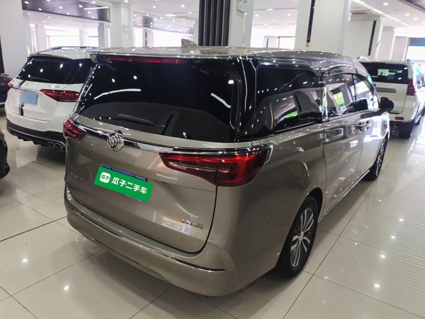 Buick GL8 2023 ES Lu Zun Comfort Model — миниатюра 6
