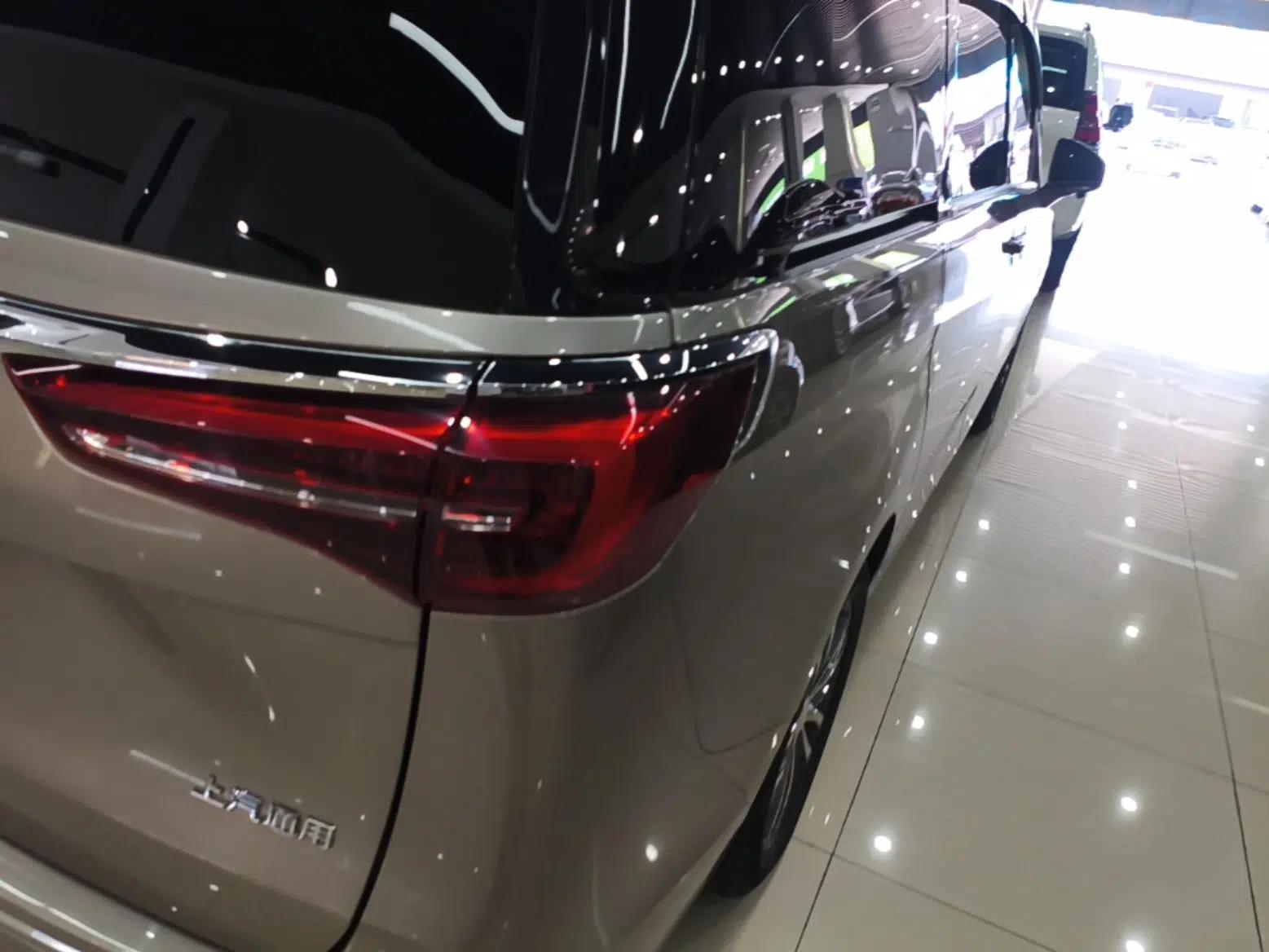 Buick GL8 2023 ES Lu Zun Comfort Model — миниатюра 9