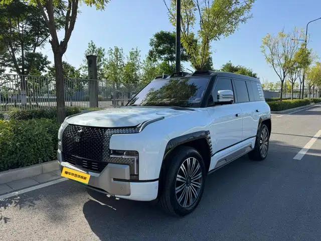 Looking up at the 2023 U8 Luxury Edition