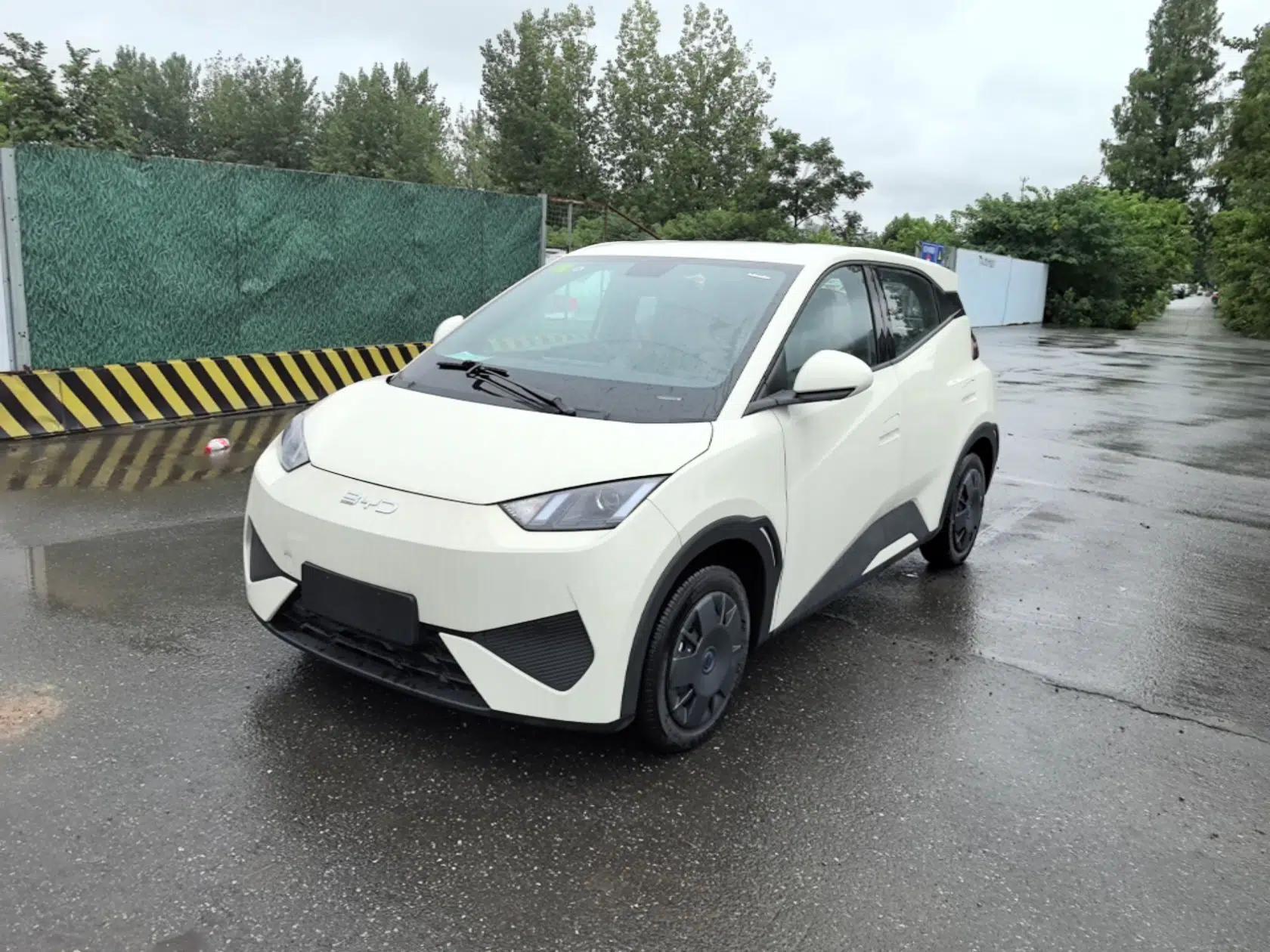 BYD Seagull 2025 Intelligent Driving Version 305 km Dynamic Edition — миниатюра 1