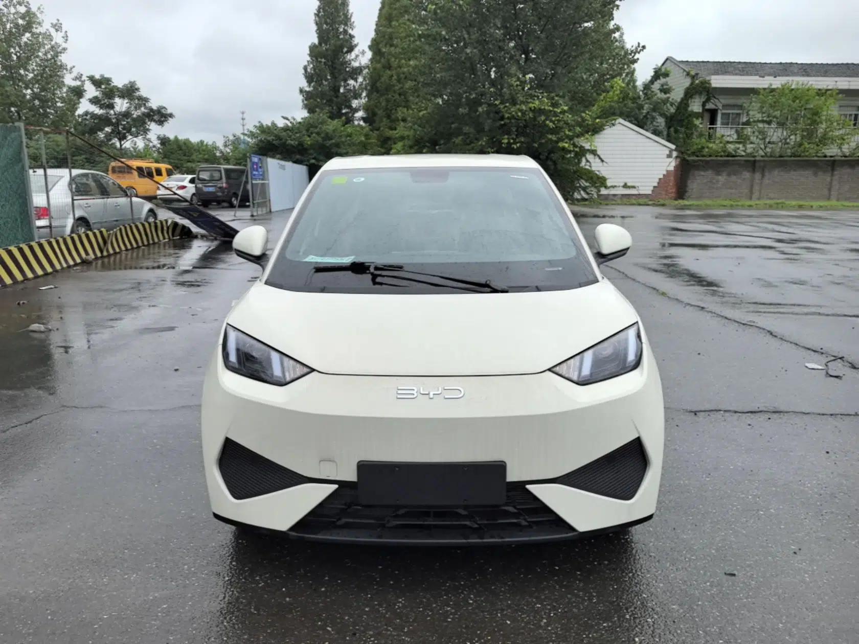 BYD Seagull 2025 Intelligent Driving Version 305 km Dynamic Edition — миниатюра 2