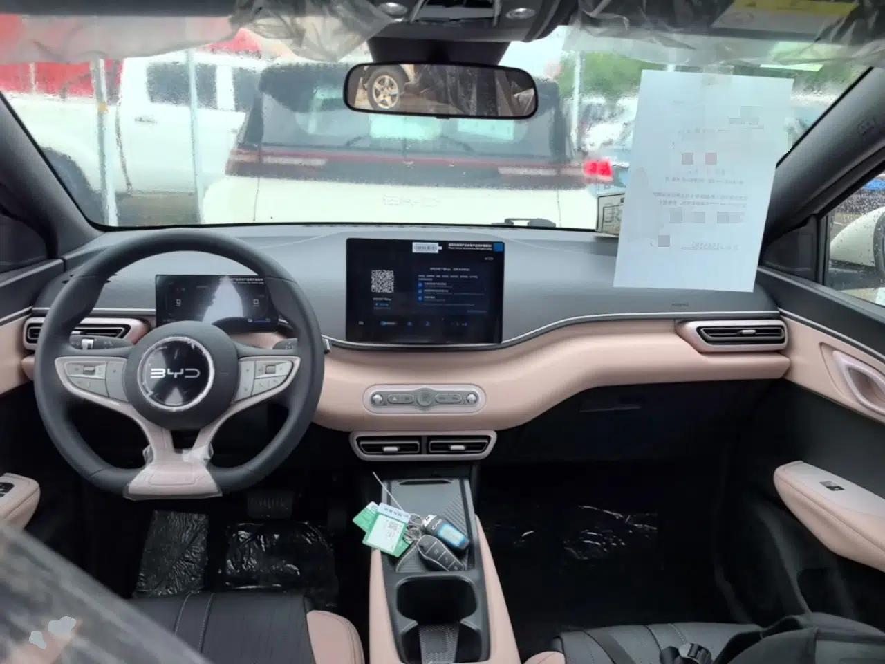 BYD Seagull 2025 Intelligent Driving Version 305 km Dynamic Edition — миниатюра 12
