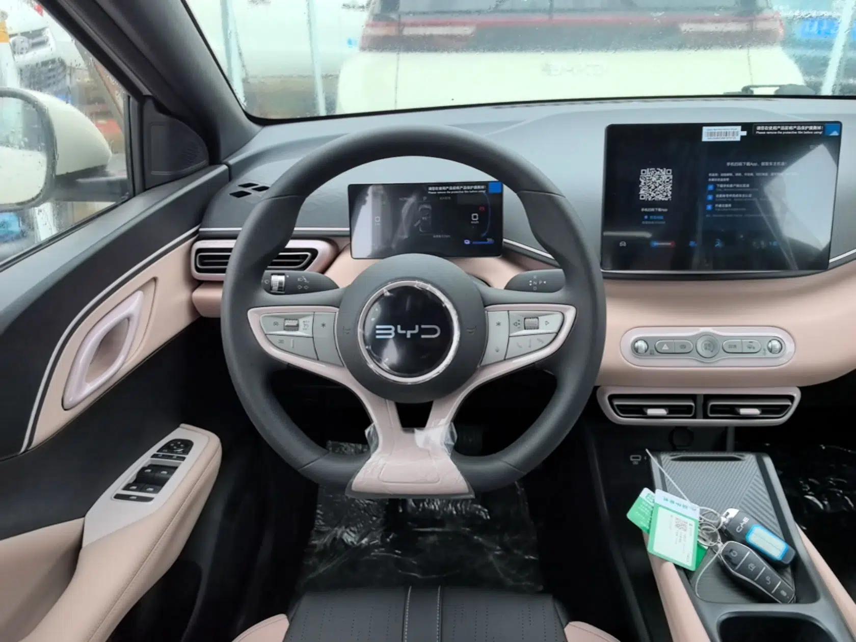 BYD Seagull 2025 Intelligent Driving Version 305 km Dynamic Edition — миниатюра 13