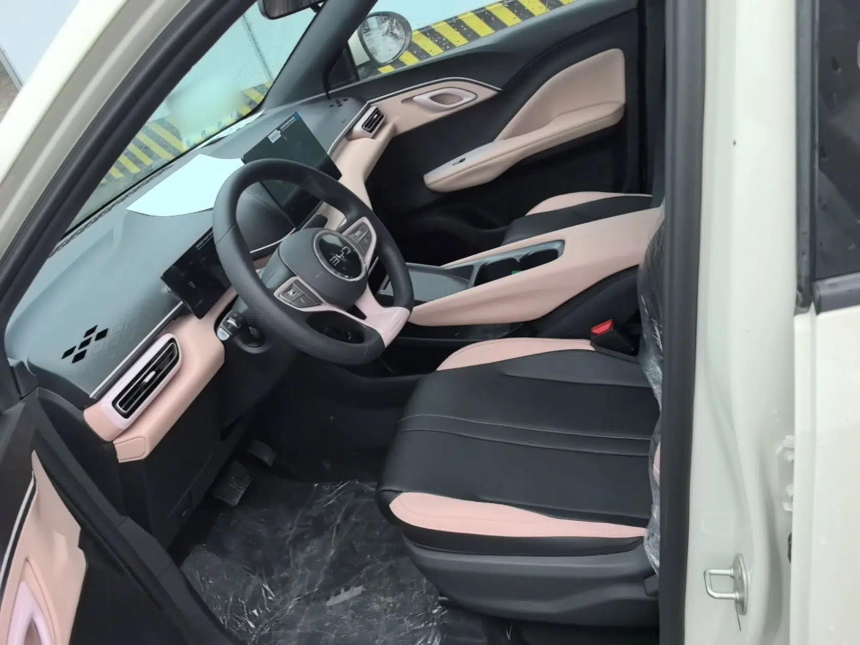 BYD Seagull 2025 Intelligent Driving Version 305 km Dynamic Edition — миниатюра 17