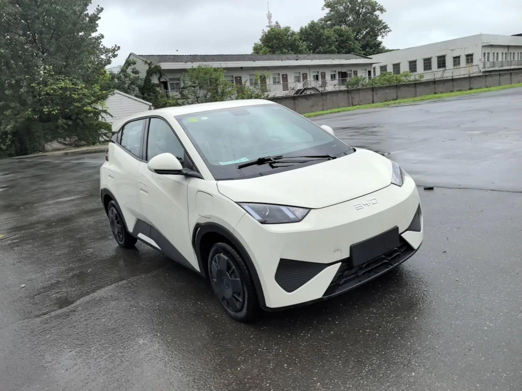 BYD Seagull 2025 Intelligent Driving Version 305 km Dynamic Edition — миниатюра 3