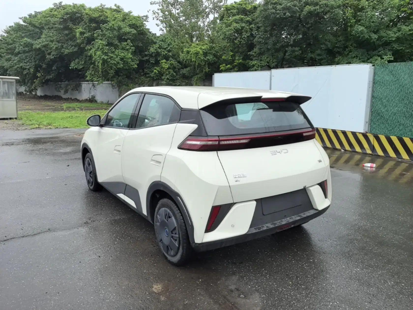BYD Seagull 2025 Intelligent Driving Version 305 km Dynamic Edition — миниатюра 4