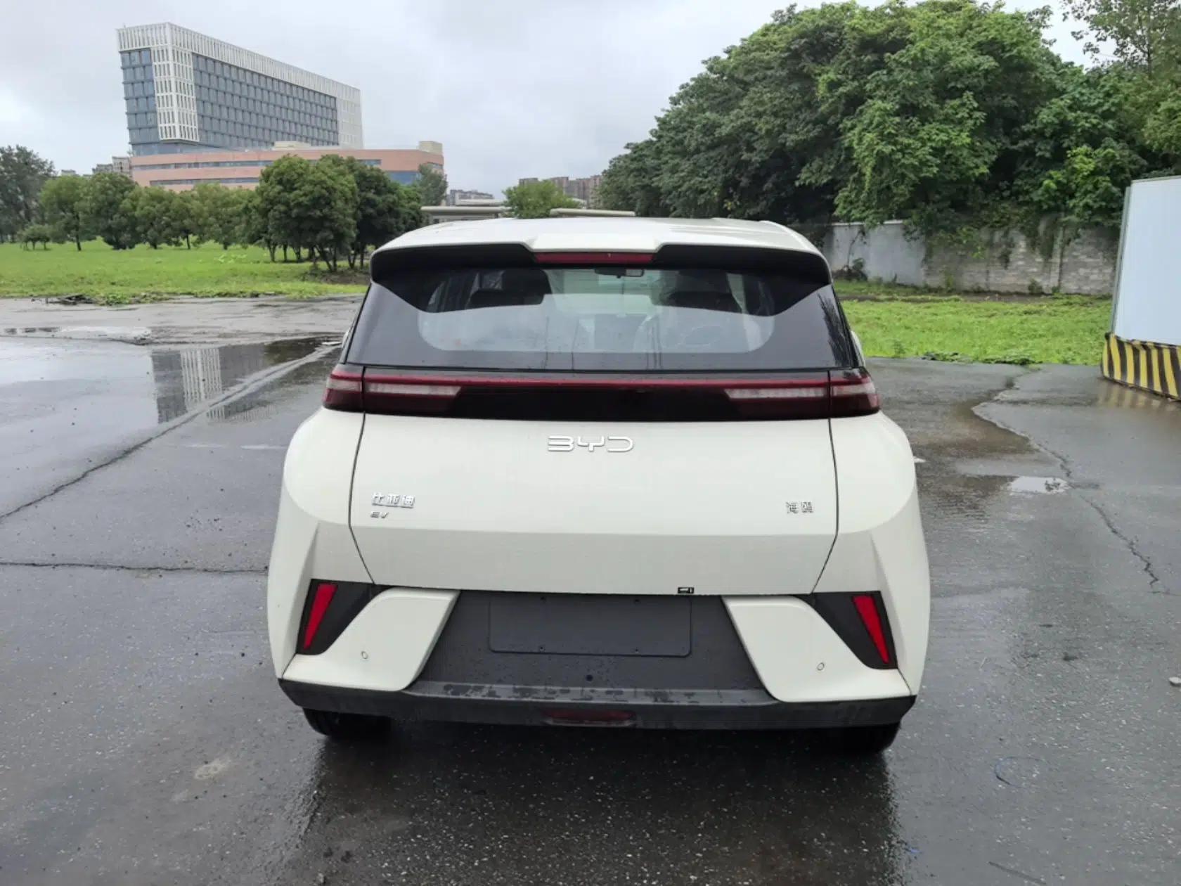 BYD Seagull 2025 Intelligent Driving Version 305 km Dynamic Edition — миниатюра 5