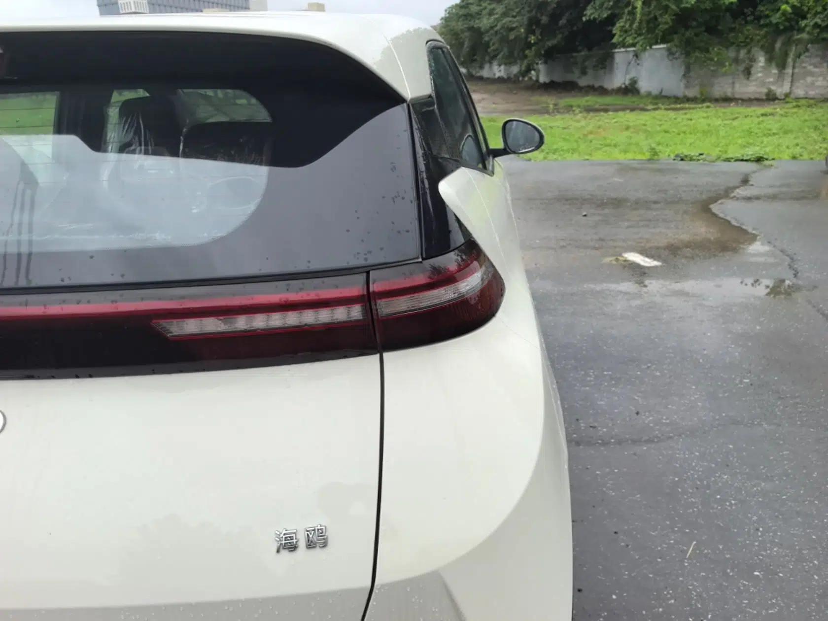 BYD Seagull 2025 Intelligent Driving Version 305 km Dynamic Edition — миниатюра 9
