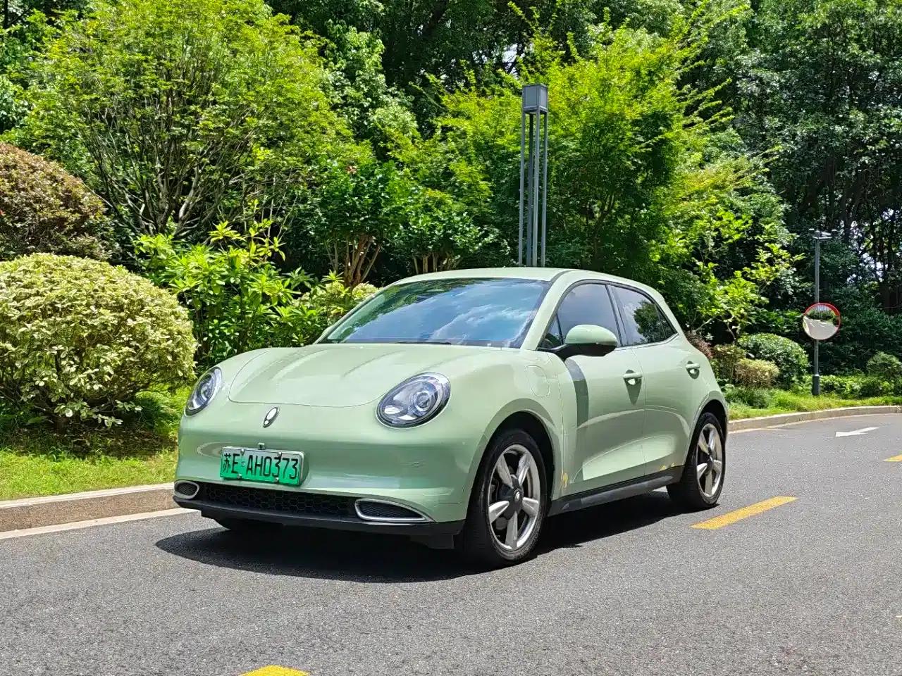 ORA Good Cat 2023 Model, 401km Standard Range, Luxury Edition, Lithium Iron Phosphate — миниатюра 1