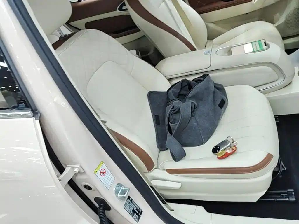 ORA Good Cat 2023 Model, 401km Standard Range, Luxury Edition, Lithium Iron Phosphate — миниатюра 25