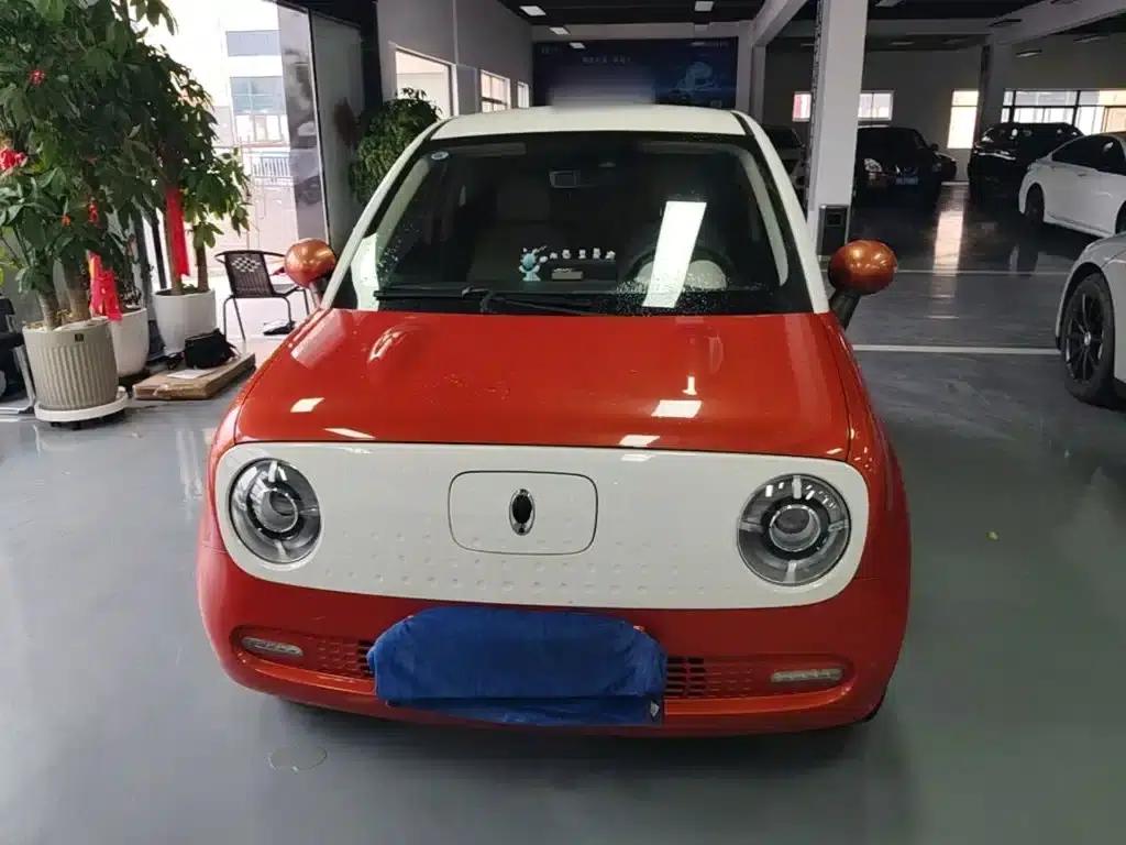 ORA Black Cat 2021 Model 351km Luxury — миниатюра 3