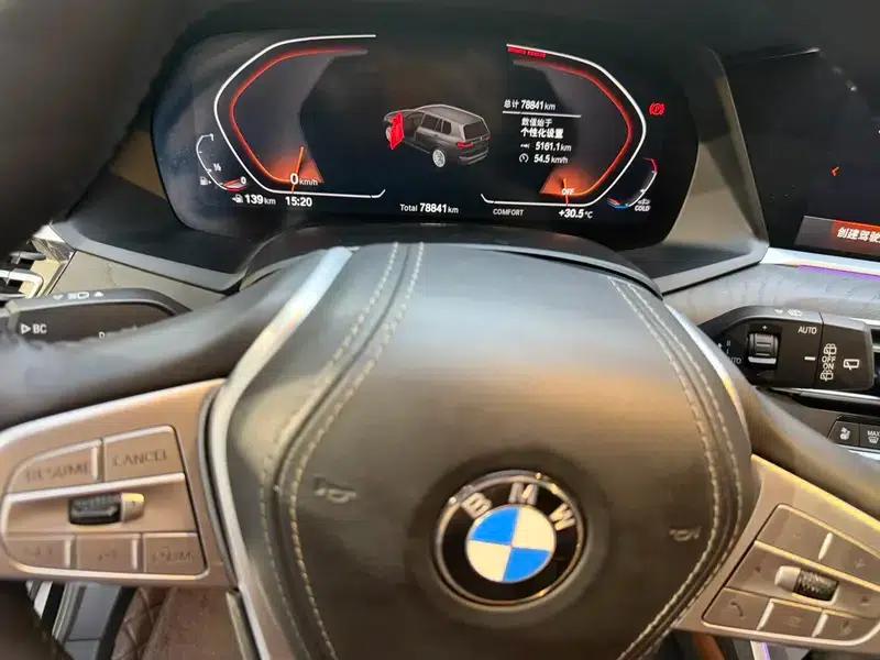 BMW X7 2022 xDrive40i Luxury Package — миниатюра 8