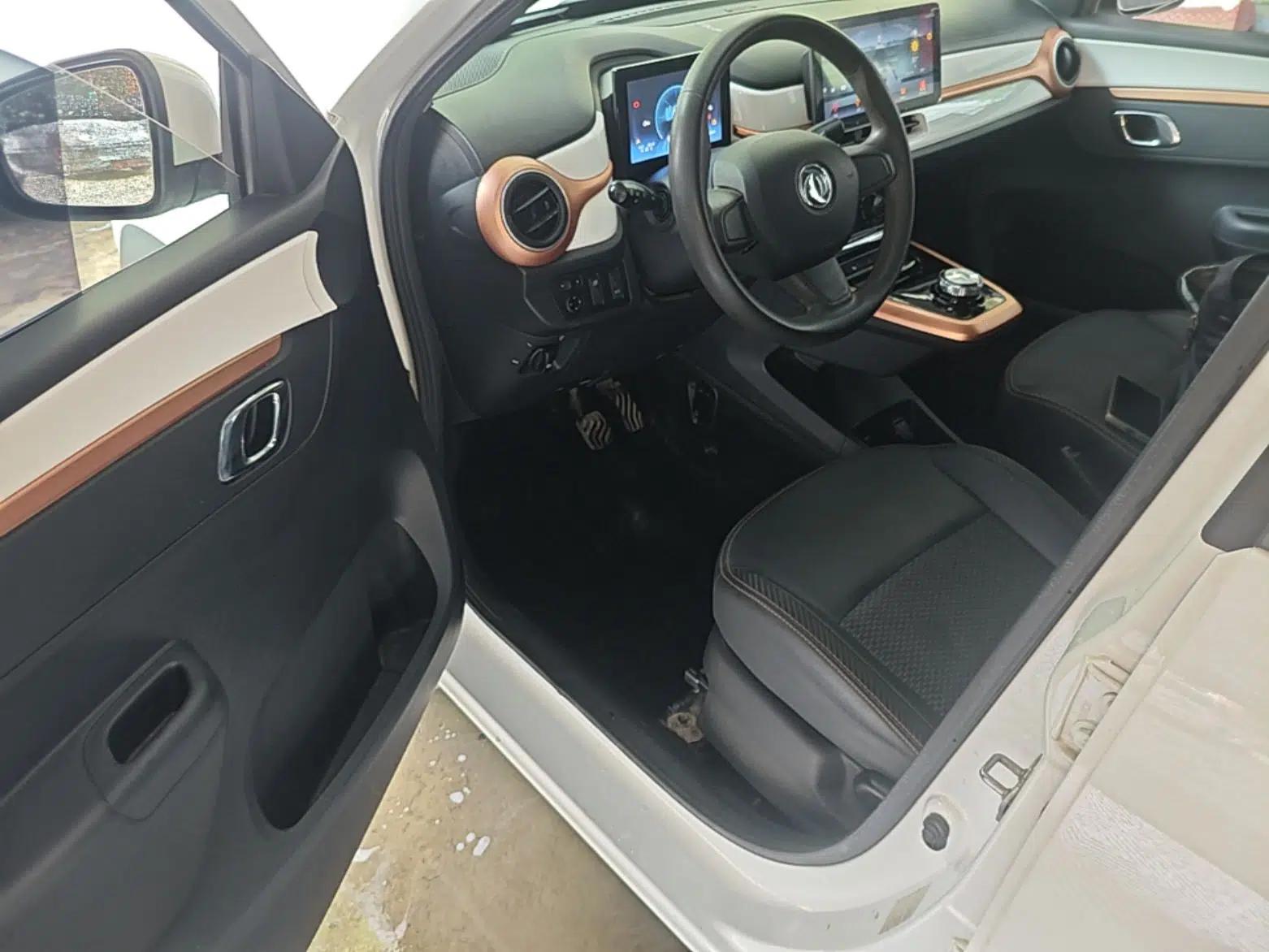 Dongfeng NAMMI EX1 2023 PRO Light Wind Edition Lightning Model — миниатюра 18