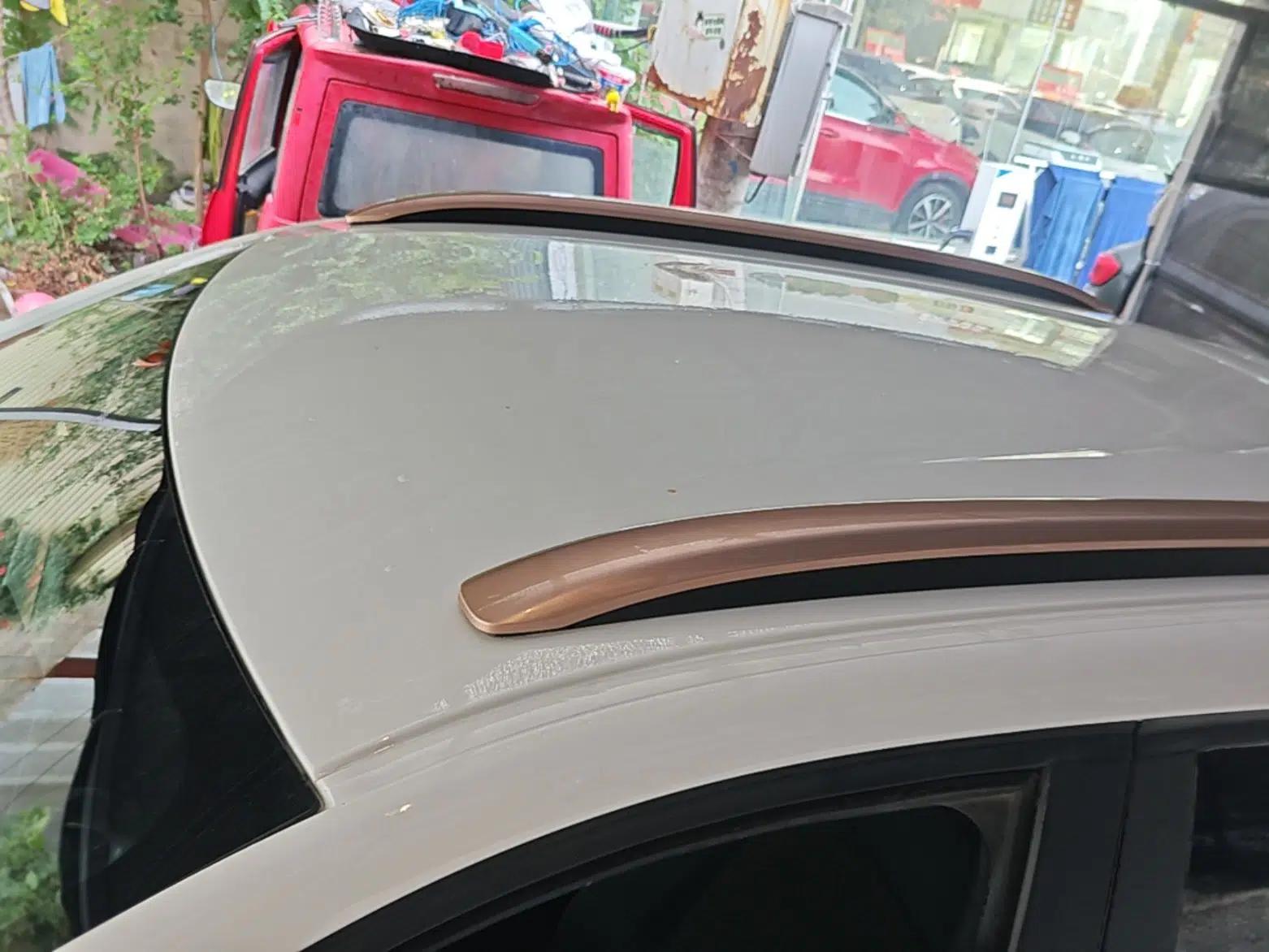 Dongfeng NAMMI EX1 2023 PRO Light Wind Edition Lightning Model — миниатюра 7