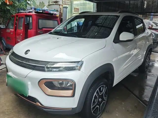 Dongfeng NAMMI EX1 2023 PRO Light Wind Edition Lightning Model