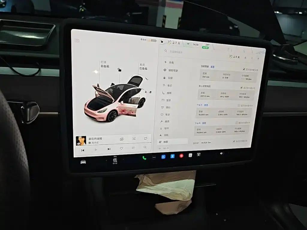 Model Y 2021 Standard Range Rear-Wheel Drive — миниатюра 13