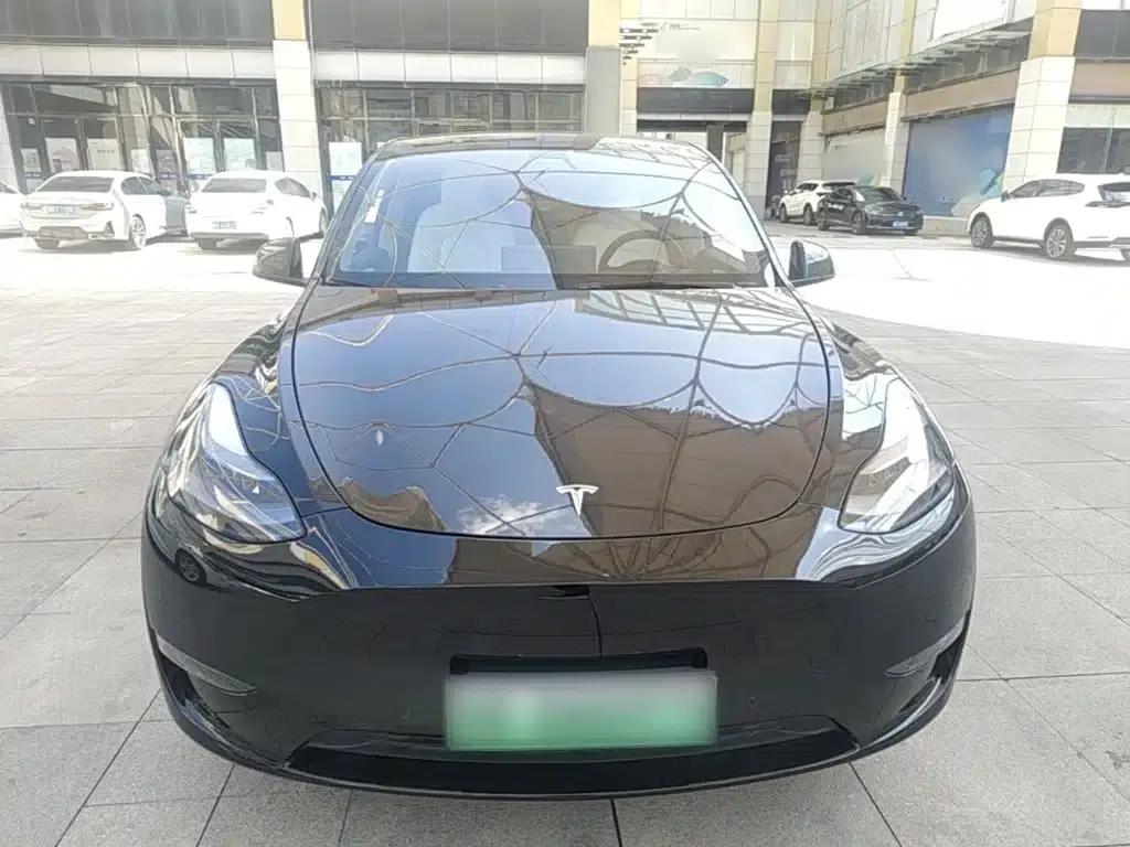 Model Y 2021 Standard Range Rear-Wheel Drive — миниатюра 3