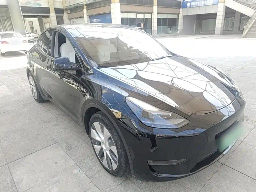 Model Y 2021 Standard Range Rear-Wheel Drive — миниатюра 4