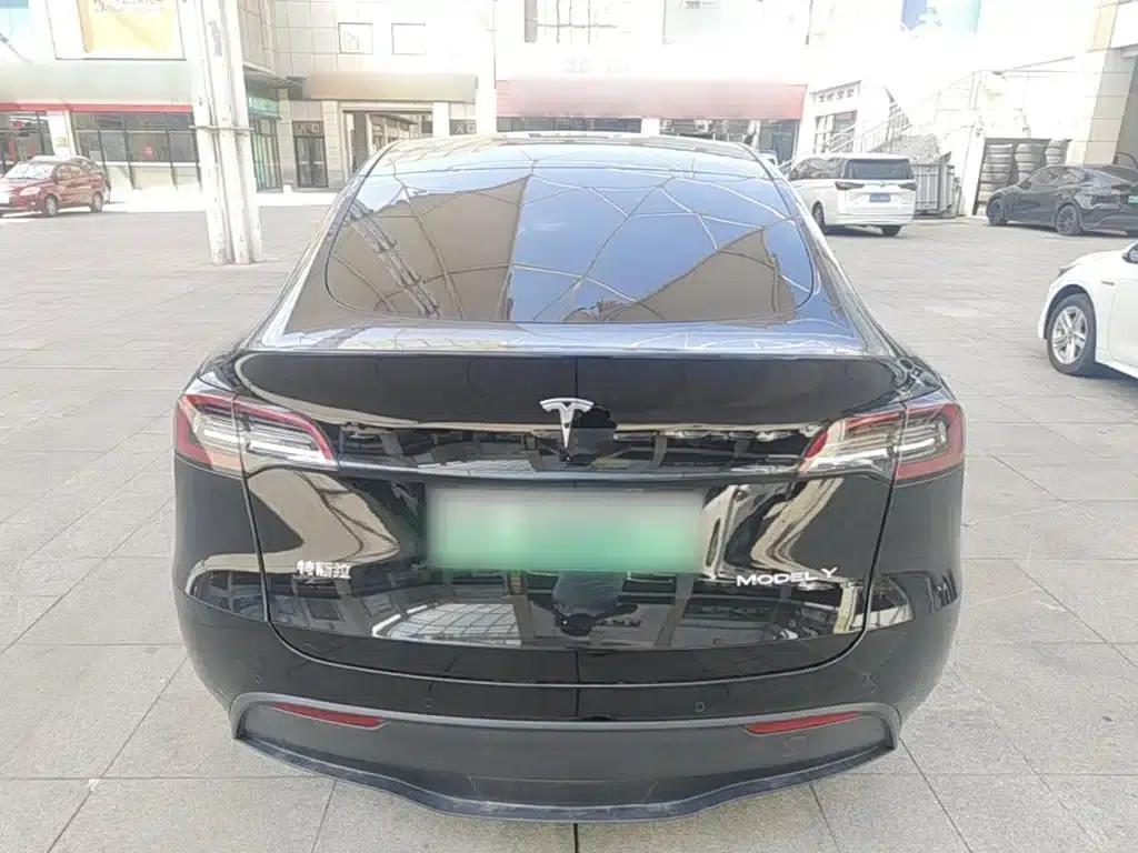Model Y 2021 Standard Range Rear-Wheel Drive — миниатюра 6
