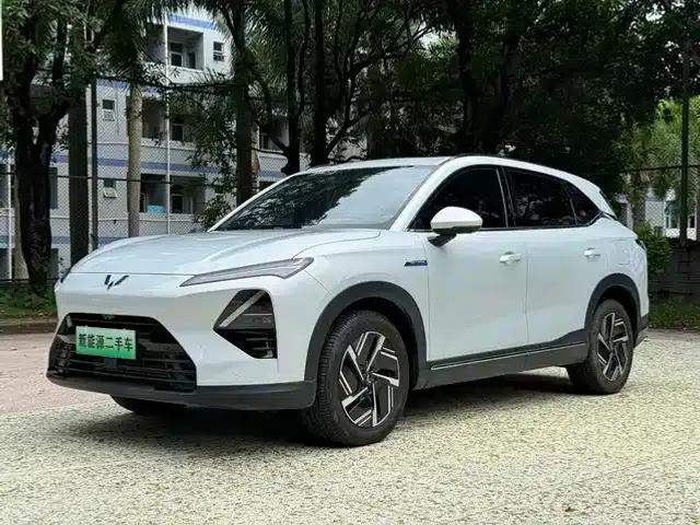 Wuling Xingguang S 2025 Model, 130km/h High-Power Flagship Edition