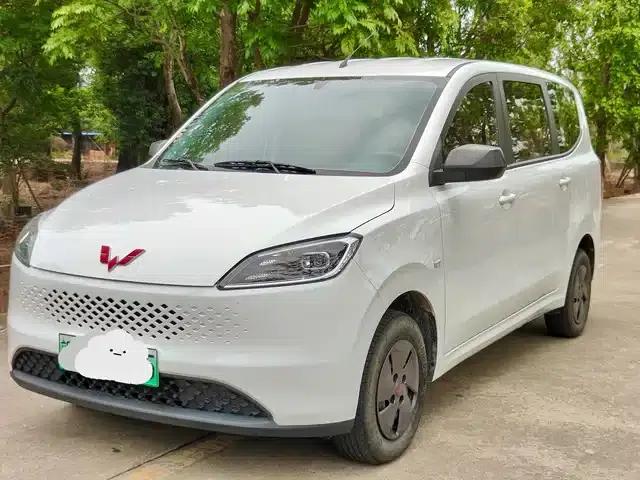 Wuling Hongguang New Energy 2025 Range-Extended Hybrid 50km Comfort Model