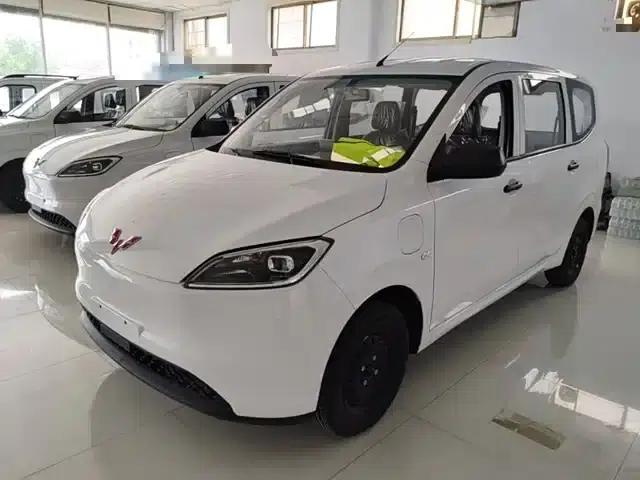 Wuling Hongguang New Energy 2024 Pure Electric Version 300KM Standard Edition