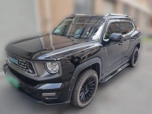 Haval H Dog New Energy 2023 DHT-PHEV 105km Tide Electric Version Plus