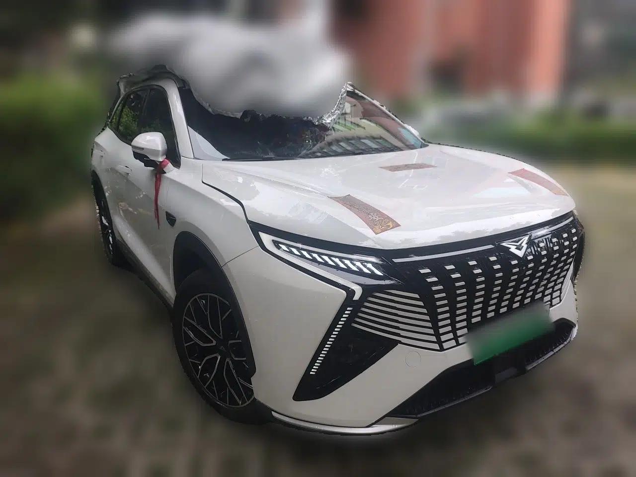 Cowin Kunlun 2024 Kunlun iHD 150km Mountain Peak Edition — миниатюра 3