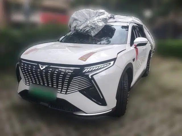 Cowin Kunlun 2024 Kunlun iHD 150km Mountain Peak Edition