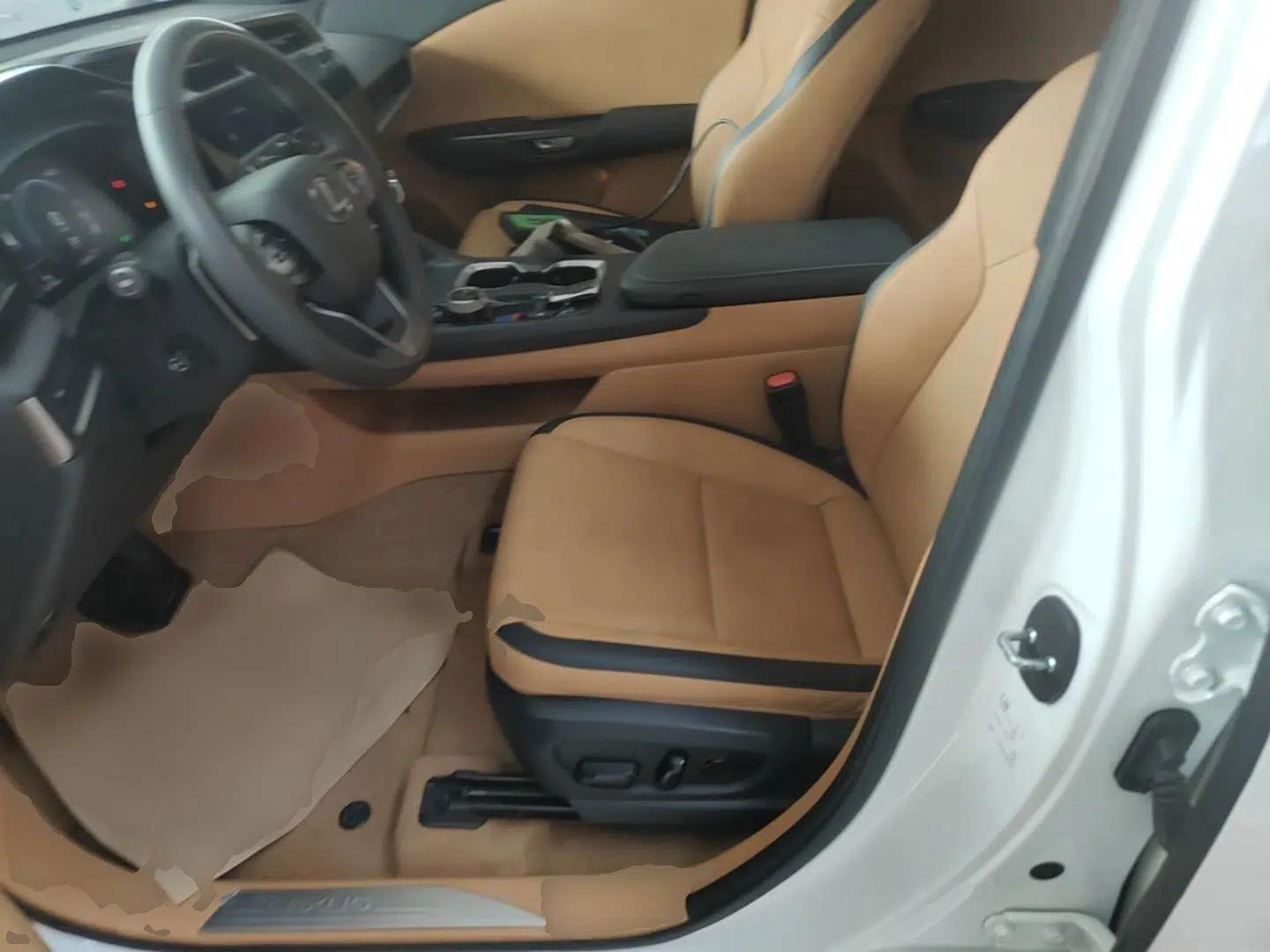 Lexus RZ 2023 450e All-Wheel Drive Luxury Edition — миниатюра 17