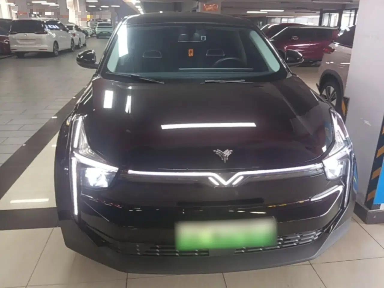 NETA U 2021 Pro 400 Cruiser Edition — миниатюра 2