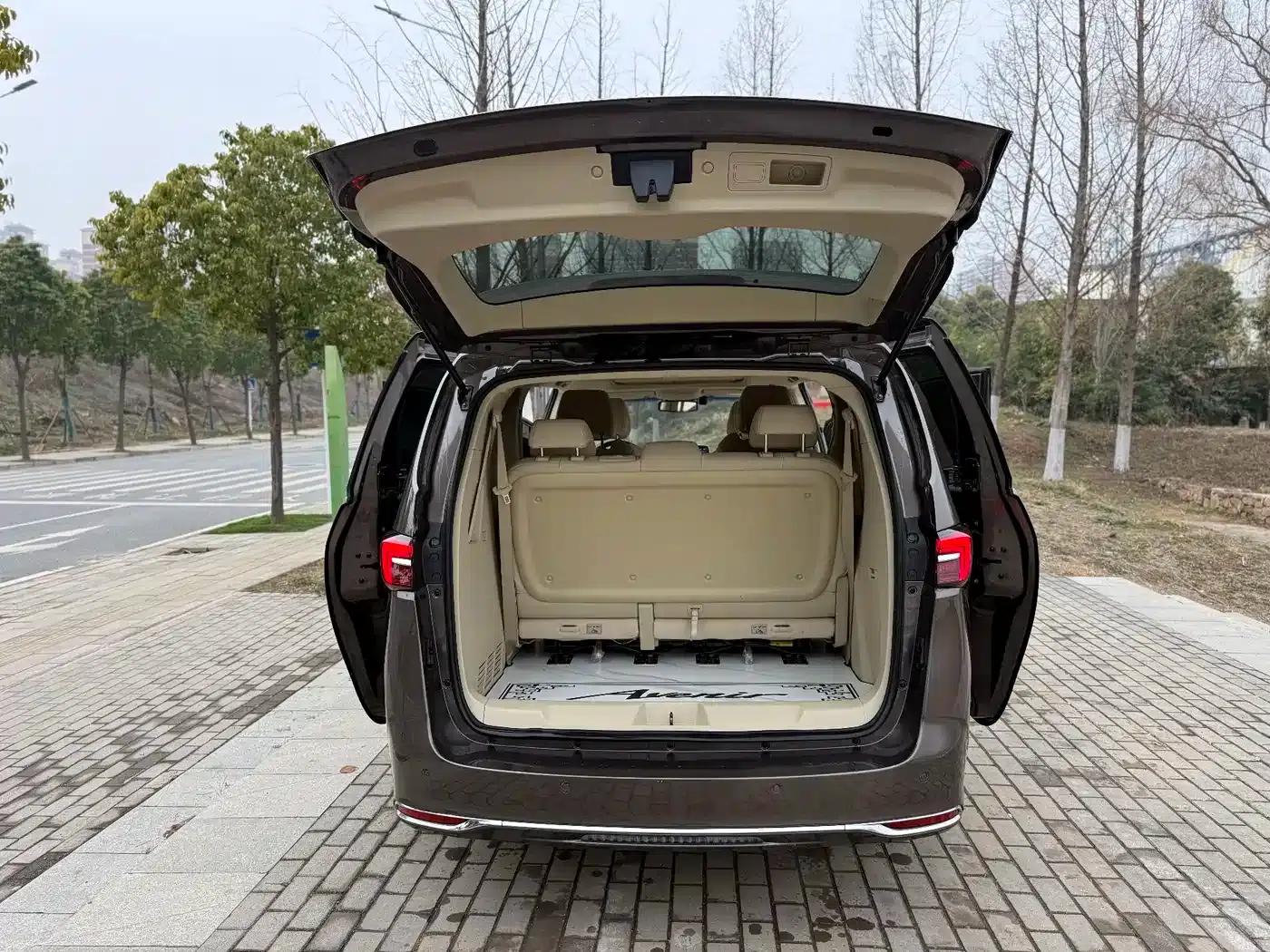 Buick GL8 2023 Land Business Class 652T Luxury — миниатюра 12