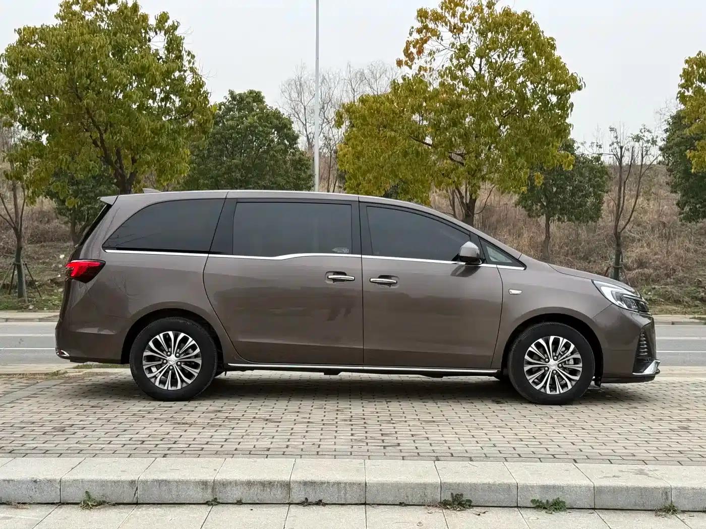 Buick GL8 2023 Land Business Class 652T Luxury — миниатюра 14