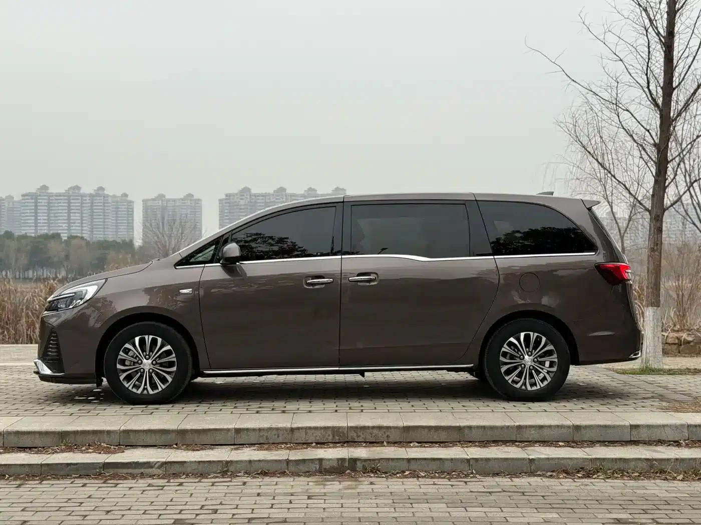 Buick GL8 2023 Land Business Class 652T Luxury — миниатюра 15