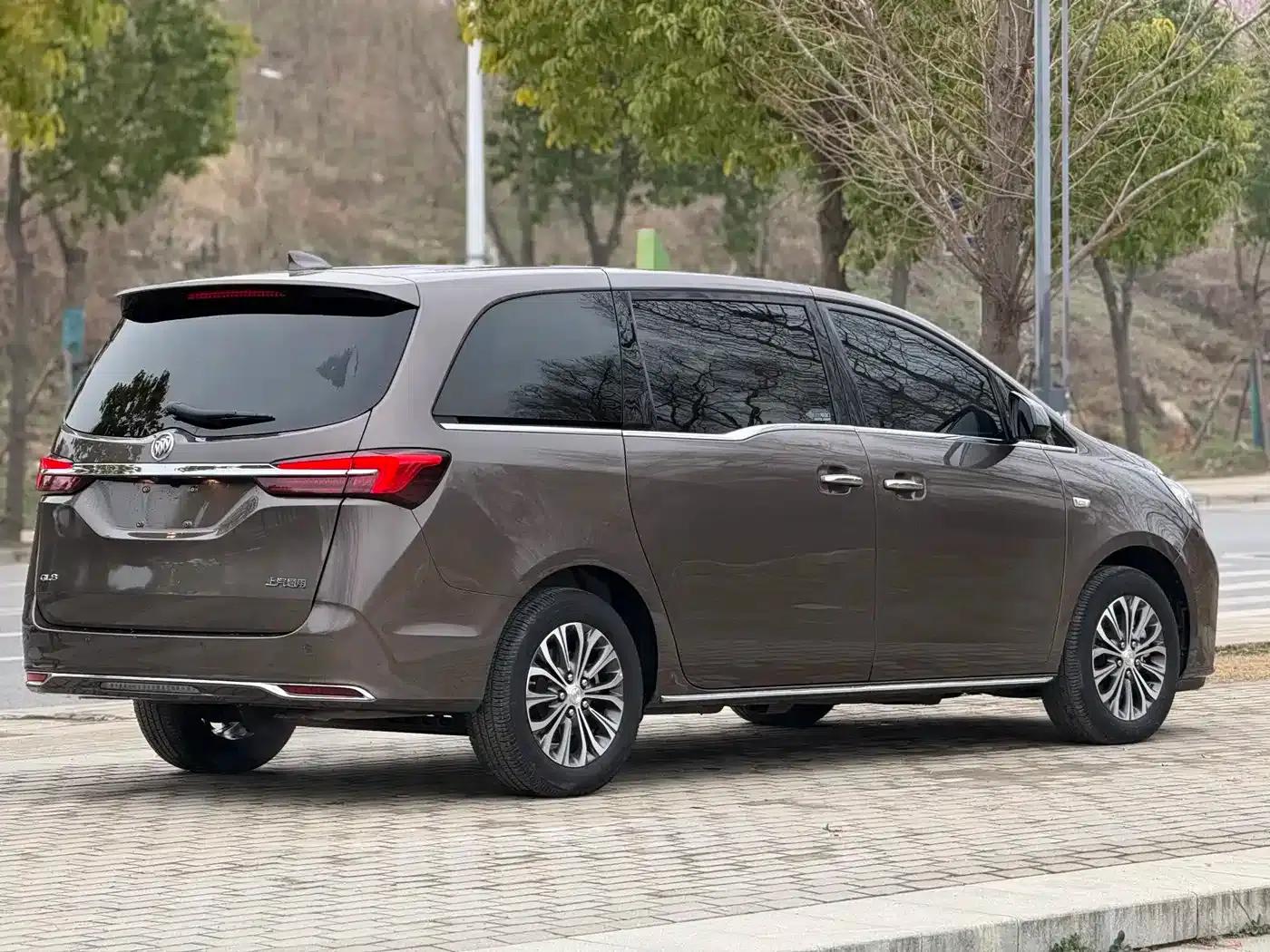 Buick GL8 2023 Land Business Class 652T Luxury — миниатюра 17