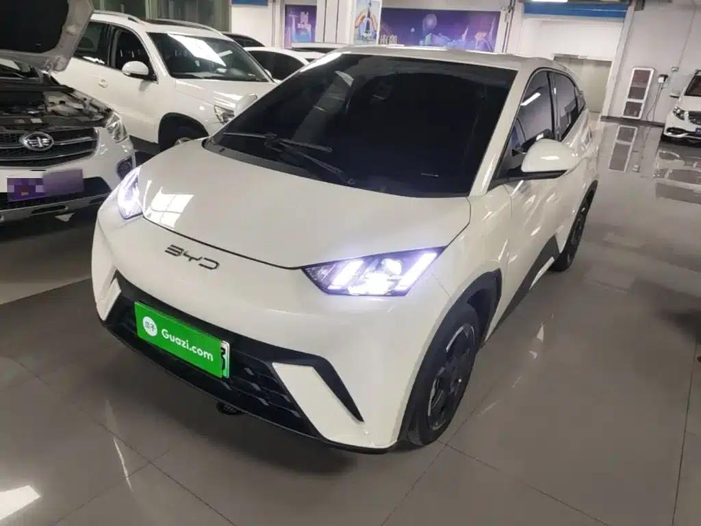 Seagull 2023 Freedom Edition — миниатюра 2