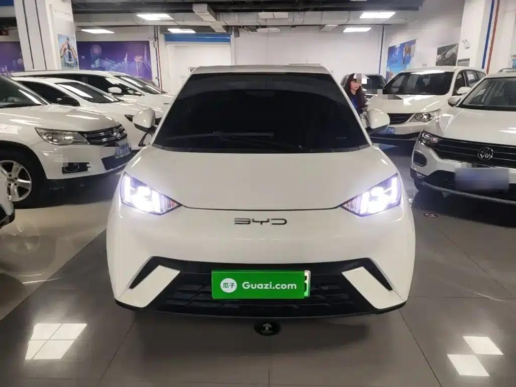 Seagull 2023 Freedom Edition — миниатюра 3