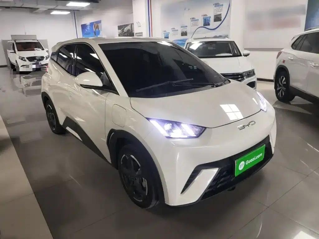 Seagull 2023 Freedom Edition — миниатюра 4