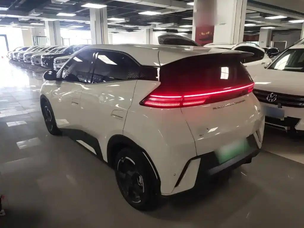Seagull 2023 Freedom Edition — миниатюра 5