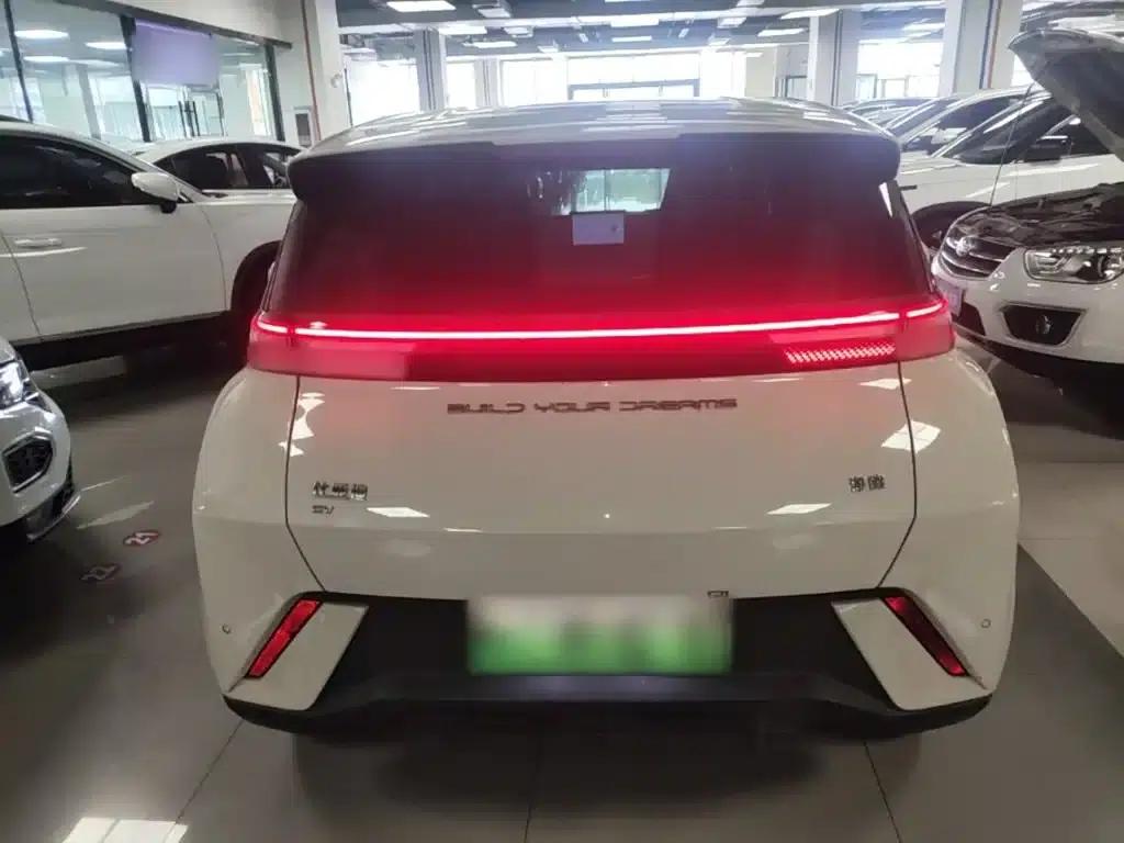 Seagull 2023 Freedom Edition — миниатюра 6