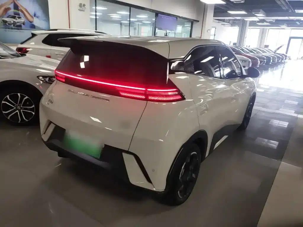 Seagull 2023 Freedom Edition — миниатюра 7