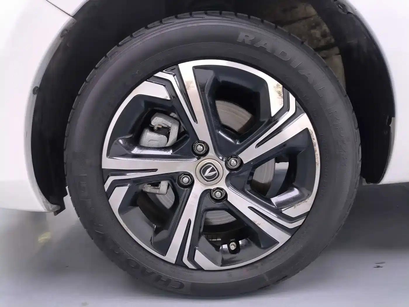 Changan Benben E-Star 2020 Heartbeat Edition Ternary Lithium Lithium — миниатюра 2