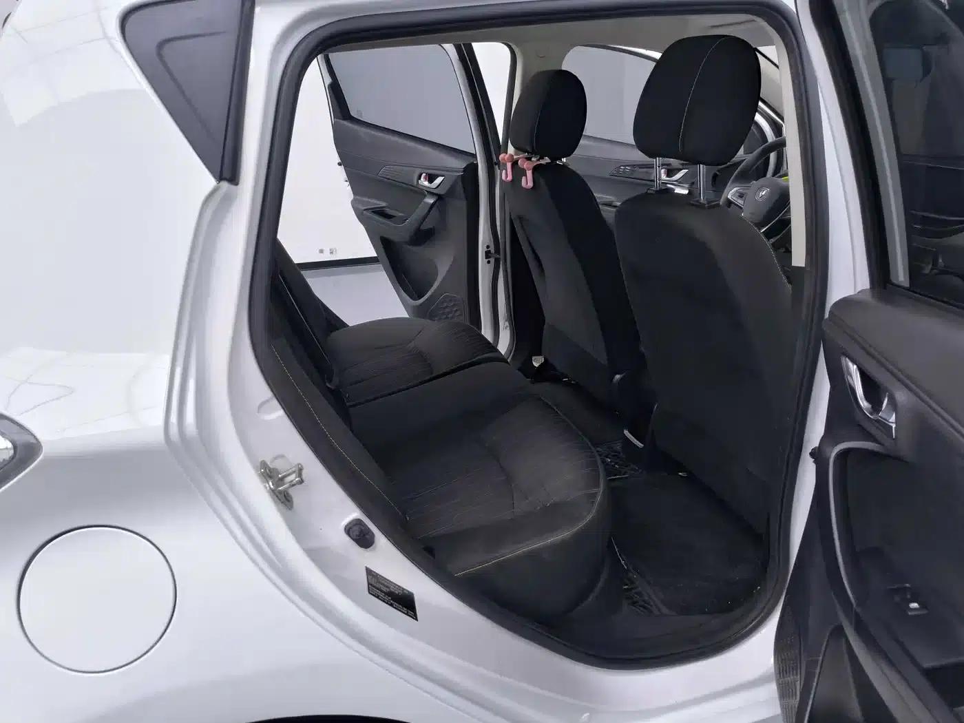 Changan Benben E-Star 2020 Heartbeat Edition Ternary Lithium Lithium — миниатюра 6
