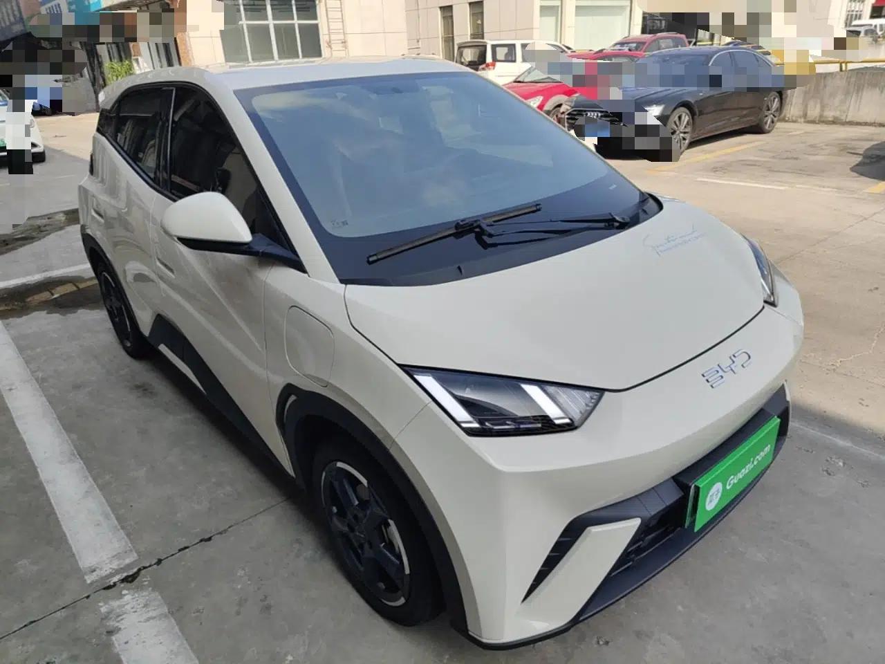 BYD Seagull 2024 Honor Edition 305km Freedom Version — миниатюра 3