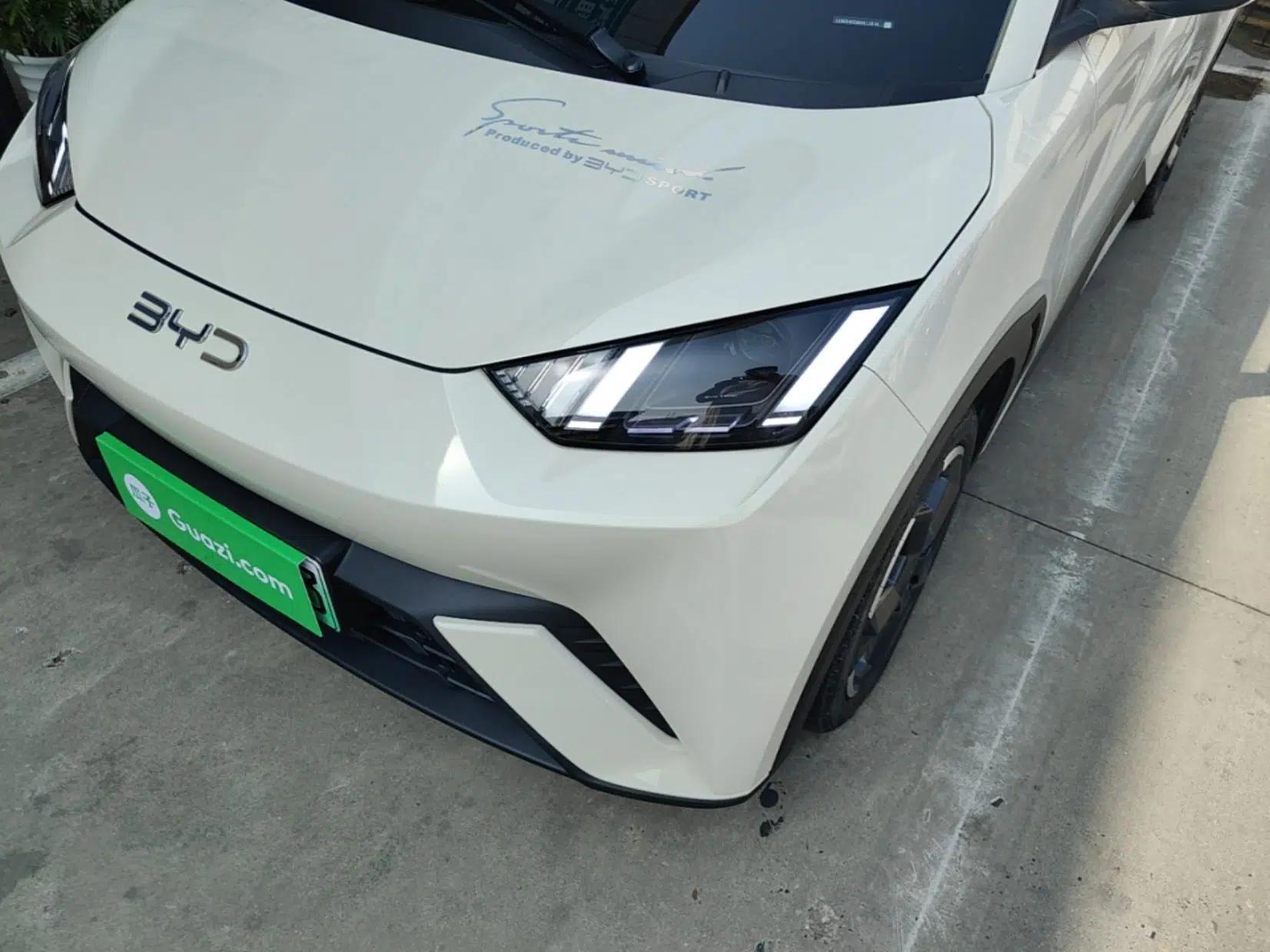 BYD Seagull 2024 Honor Edition 305km Freedom Version — миниатюра 8
